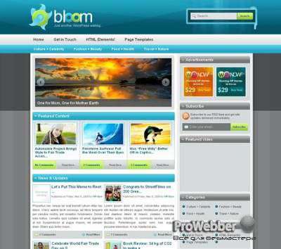 Bloom Wordpress Theme - WPNOW