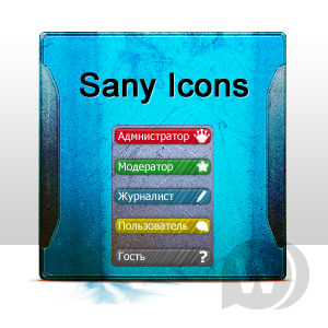 Sany Icons