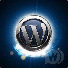 WordPress 3.1.3