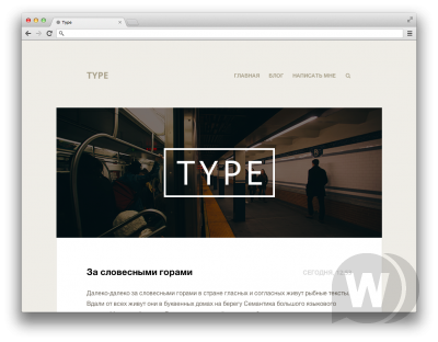 Type — шаблон для блога на DLE 10