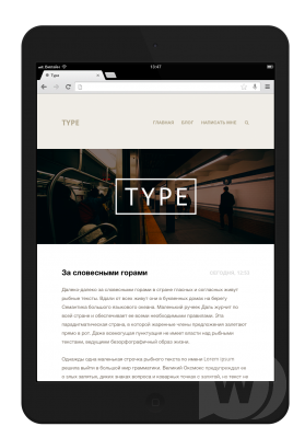 Type — шаблон для блога на DLE 10