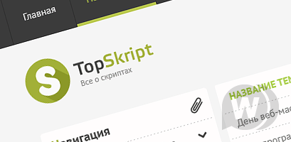 Продажа красивого шаблон "TopSkript" для Dle 10.1