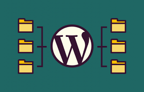 Domain Mapping v4.4.3.4 - создаем сеть сайтов WordPress