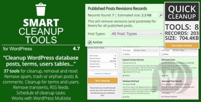 Smart Cleanup Tools v5.0 - плагин для очистки базы данных WordPress