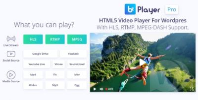 bzplayer Pro v1.9 - плагин WordPress видео-плеера для онлайн трансляций