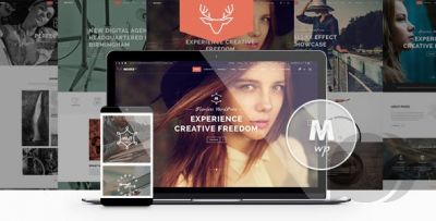 Moose v3.3 - творческая многоцелевая тема WordPress