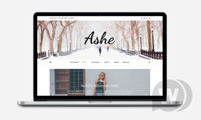 Ashe Blog Pro v3.5.3 - блоговый премиум шаблон WordPress