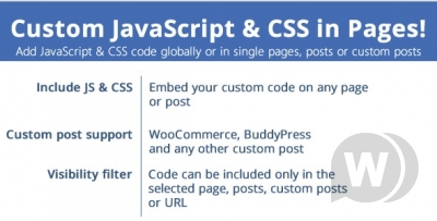Плагин Custom JavaScript & CSS in Pages! v3.0