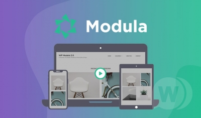 Modula PRO v2.5.1 NULLED (+addons) - №1 плагин галереи WordPress