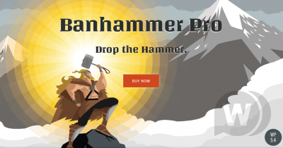 Banhammer Pro v2.0 NULLED - мониторинг трафика и бан нежелательных посетителей WordPress