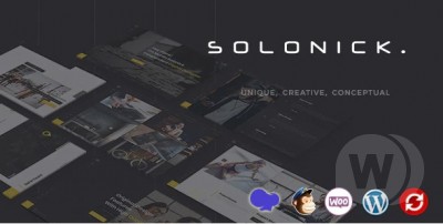 Solonick v4.2 NULLED - Personal Portfolio WordPress Theme