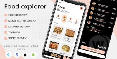 Food Explorer v1.0 - приложение для доставки еды с курьером Flutter