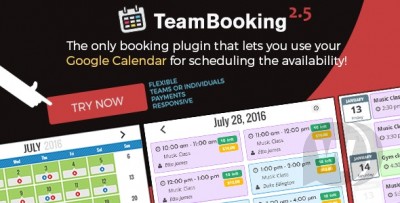 Team Booking v2.5.11 - система бронирования WordPress