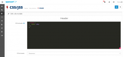 CSS/JS в шапку/футтер