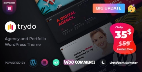 Trydo тема WordPress для креативного агентства и портфолио