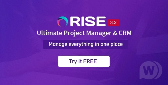 RISE NULLED скрипт управление проектами